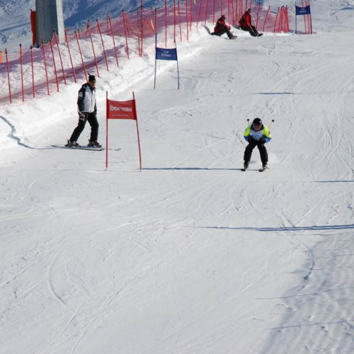 Slalom Gigante n. 81 / 47547