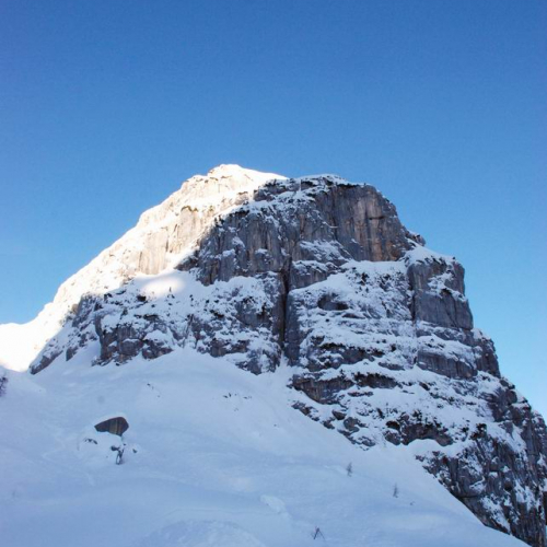 Testing Rivelatori Metalli ricerca persona sepolta da neve n. 41 / 60169