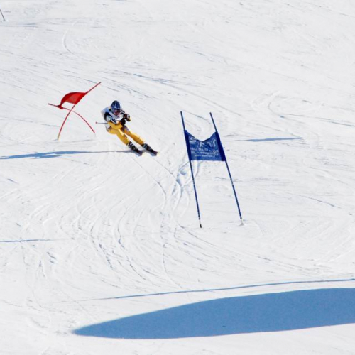 Slalom Gigante n. 82 / 47548