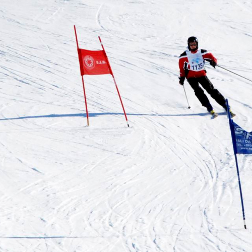 Slalom Gigante n. 85 / 47551