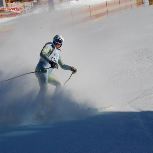 Slalom Gigante n. 90 / 47556