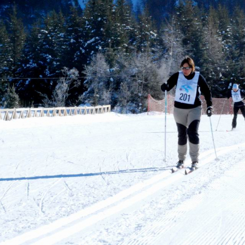 Gara Sci di Fondo e Snowboard n. 31 / 47597