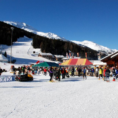 Gara Sci di Fondo e Snowboard n. 43 / 47609