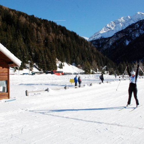 Gara Sci di Fondo e Snowboard n. 39 / 47605