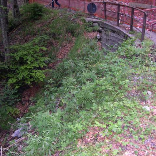 Intervento urgente di Protezione civile in comune di Lauco n.4 / 30276