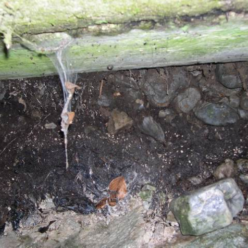 Intervento urgente di Protezione civile in comune di Lauco n.5 / 30277