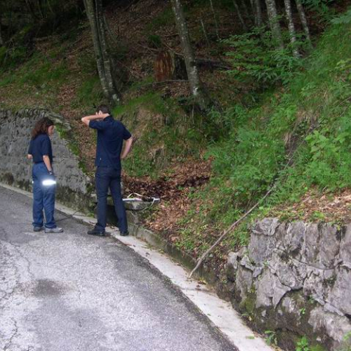 Intervento urgente di Protezione civile in comune di Lauco n.8 / 30280