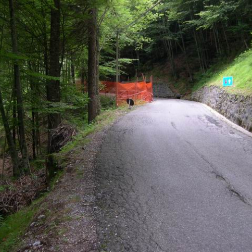 Intervento urgente di Protezione civile in comune di Lauco n.9 / 30281