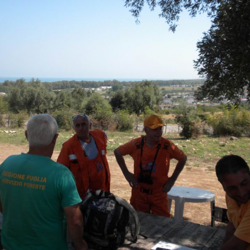 8∞ Turno Puglia 2011 n. 12 / 69723