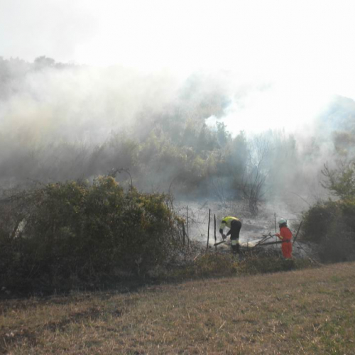 8∞ Turno Puglia 2011 n. 15 / 69726