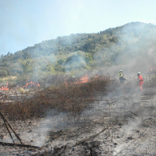 8∞ Turno Puglia 2011 n. 16 / 69727
