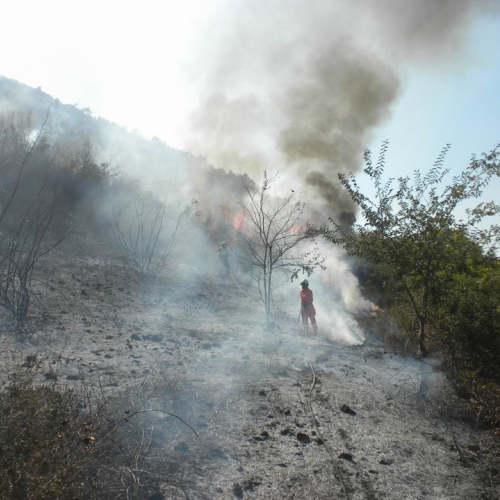 8∞ Turno Puglia 2011 n. 17 / 69728