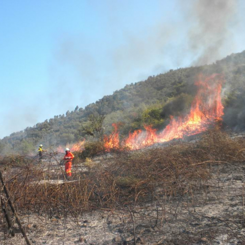 8∞ Turno Puglia 2011 n. 18 / 69729