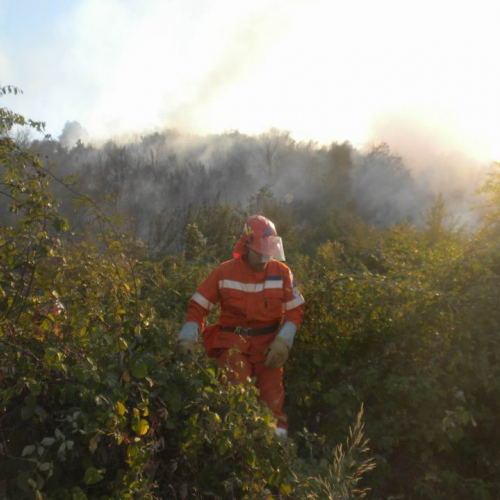 8∞ Turno Puglia 2011 n. 19 / 69730