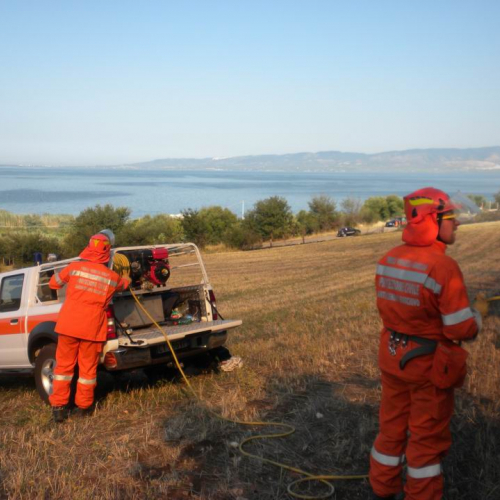 8∞ Turno Puglia 2011 n. 20 / 69731