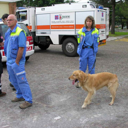 Foto 20∞ Anniversario n. 12 / 54158