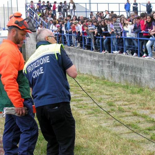 Val Torre 2011 n. 67 / 64589
