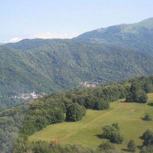 Trinco 2008 (Antincendio Boschivo) 38 / 27070