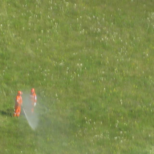 Trinco 2008 (Antincendio Boschivo) 41 / 27073