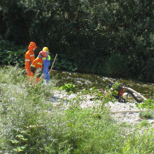 Trinco 2008 (Antincendio Boschivo) 46 / 27078