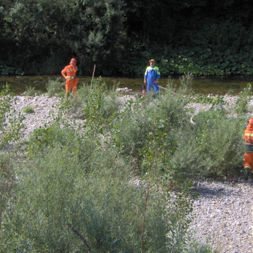 Trinco 2008 (Antincendio Boschivo) 59 / 27091