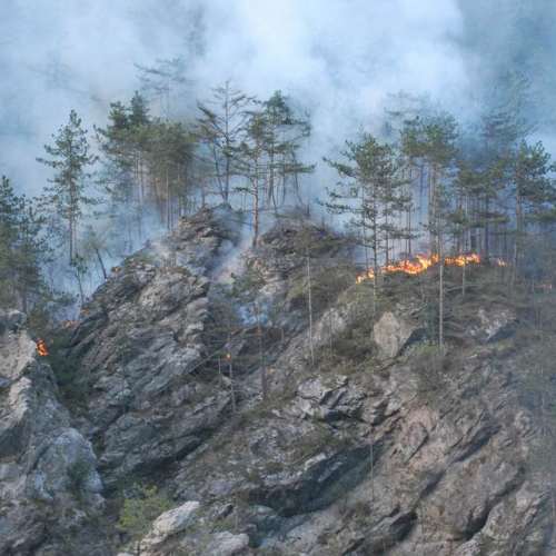 Incendio Tramonti di Sotto (PN) 13.04.11 n. 5 / 63906