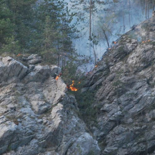 Incendio Tramonti di Sotto (PN) 13.04.11 n. 6 / 63907