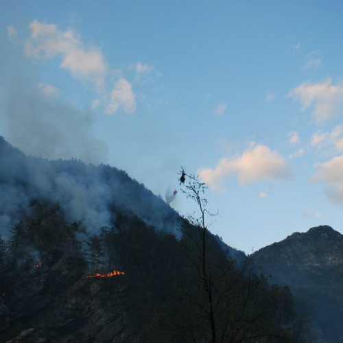 Incendio Tramonti di Sotto (PN) 13.04.11 n. 8 / 63909