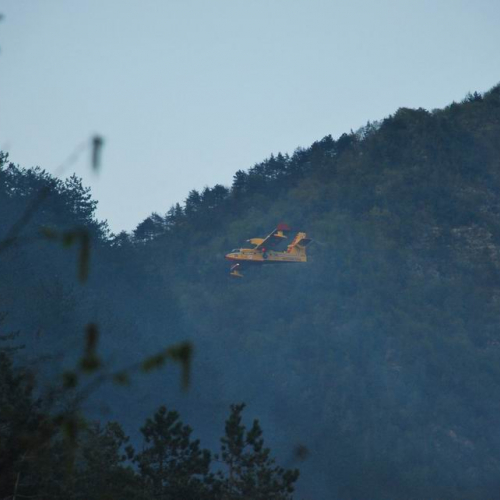 Incendio Tramonti di Sotto (PN) 13.04.11 n. 10 / 63911