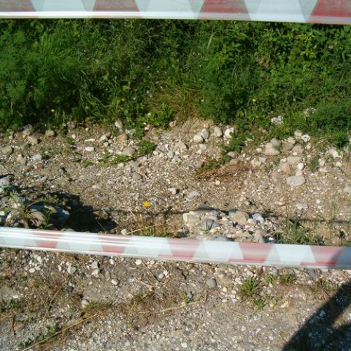 Intervento urgente di Protezione civile in comune di Dolegna del Collio n.1 / 31029