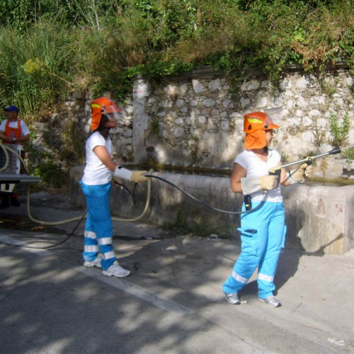 Volontari in Sicilia - Primo turno 20 / 27501