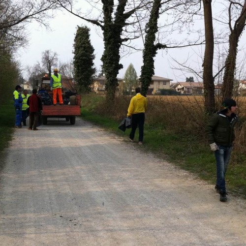 Giornata ecologica (Lumignacco) n. 3 / 63332