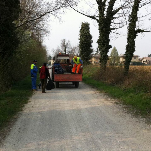 Giornata ecologica (Lumignacco) n. 4 / 63333