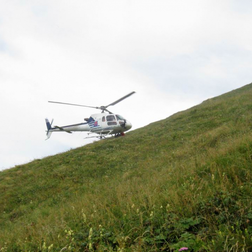 Incendio monte Guarda n. 1 / 55296