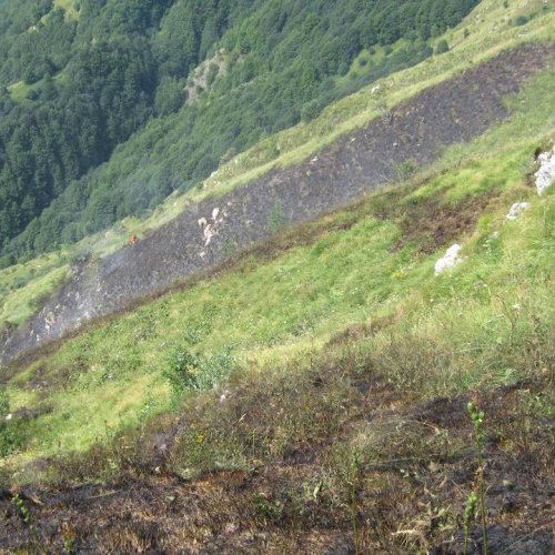 Incendio monte Guarda n. 3 / 55298