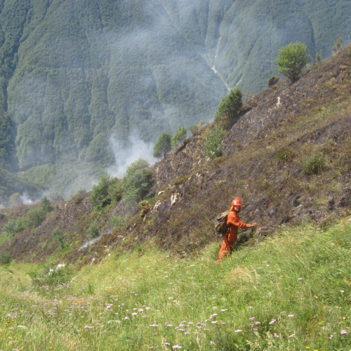 Incendio monte Guarda n. 6 / 55301