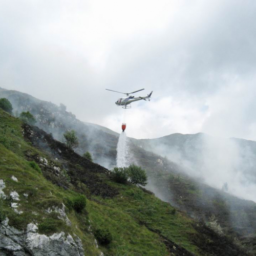 Incendio monte Guarda n. 7 / 55302