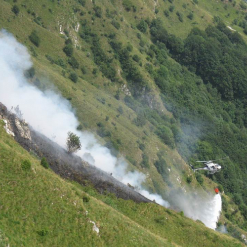 Incendio monte Guarda n. 14 / 55309