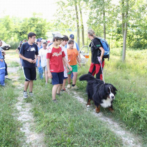 Foto Campo Scuola Formativo n. 18 / 54314