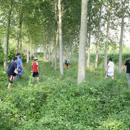 Foto Campo Scuola Formativo n. 19 / 54315