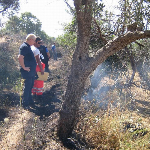 Secondo turno Sicilia 2008 1 / 27540