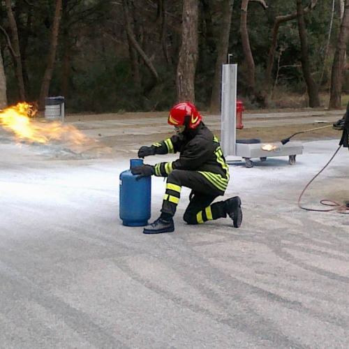 Foto Stage 26 marzo 17 / 49781