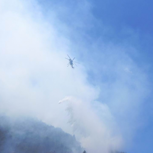 Incendio Monte Plauris (Resiutta) n. 3 / 66199