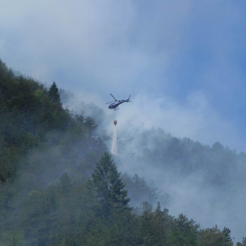 Incendio Monte Plauris (Resiutta) n. 5 / 66201
