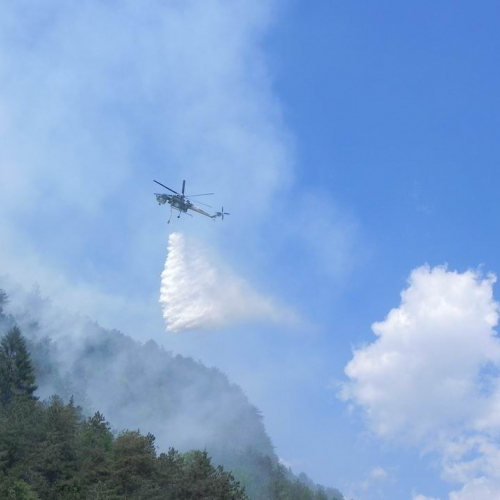 Incendio Monte Plauris (Resiutta) n. 7 / 66203