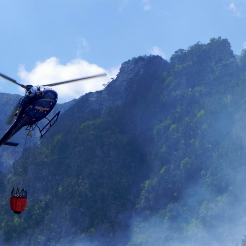 Incendio Monte Plauris (Resiutta) n. 14 / 66210