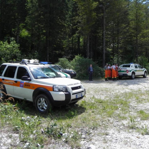 Incendio Monte Plauris (Resiutta) n. 17 / 66213