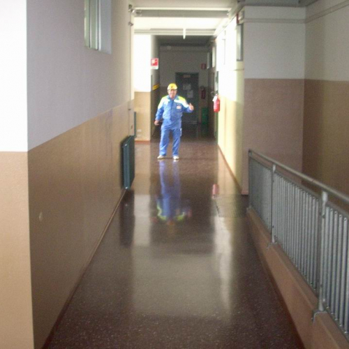Foto evacuazione Istituto comprensivo Pavia di Udine n. 3 / 39449