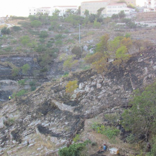8∞ Turno Puglia 2011 n. 37 / 69748
