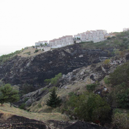 8∞ Turno Puglia 2011 n. 40 / 69751